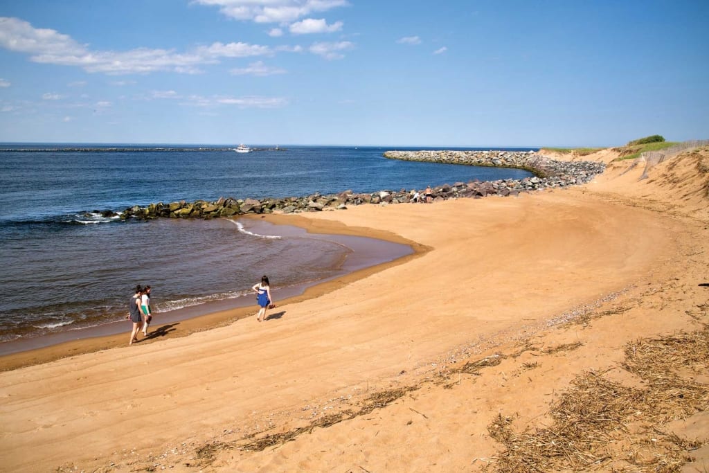 Groins - smaller seawalls - along Plum Island shoreline