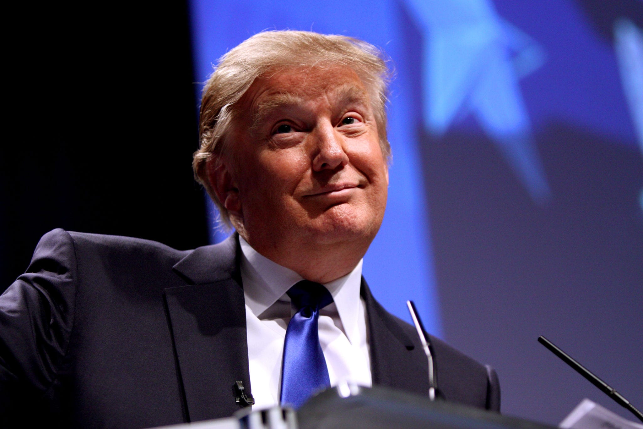 Democrats have a lot to learn from Trump