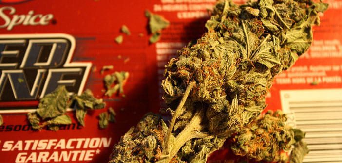 Amazon vs. marijuana