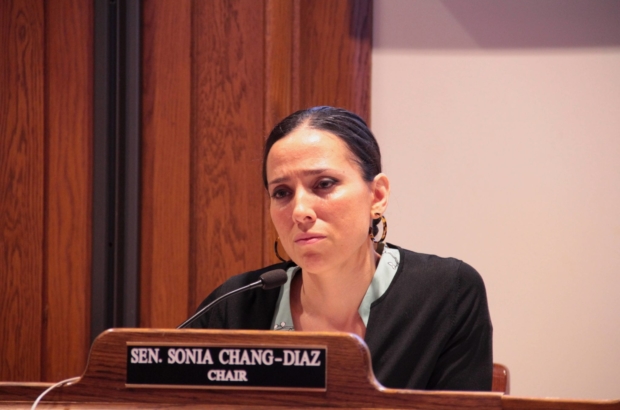 Senate committee faults Hodgson for not admitting Chang-Diaz