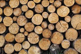 Baker is wrong to subsidize wood burning