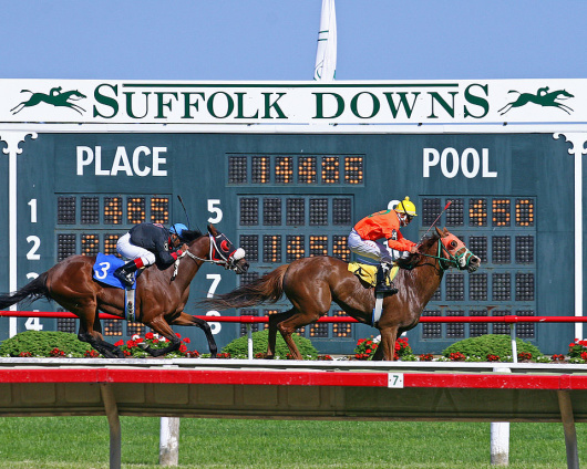 Idle horse race funds attracting interest