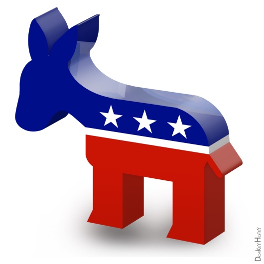 Democrats’ platform of opportunity