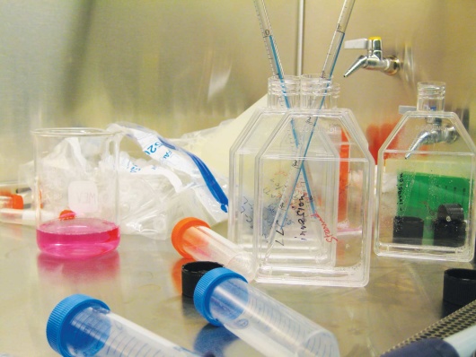 Death of a cancer lab