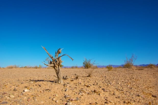 Climate change politics is heating up