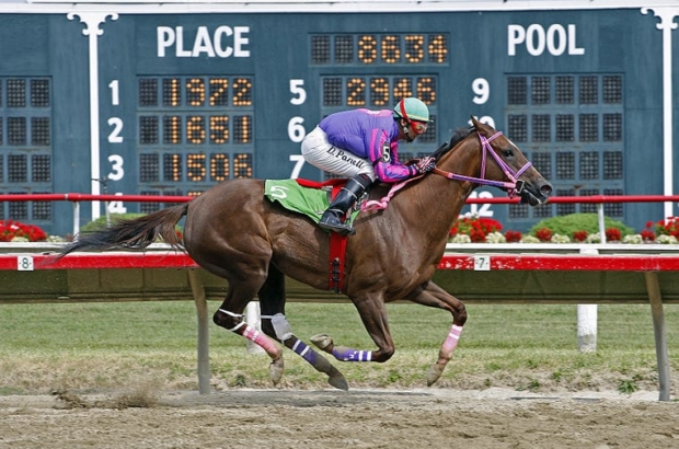 $12m sitting unused in horse fund