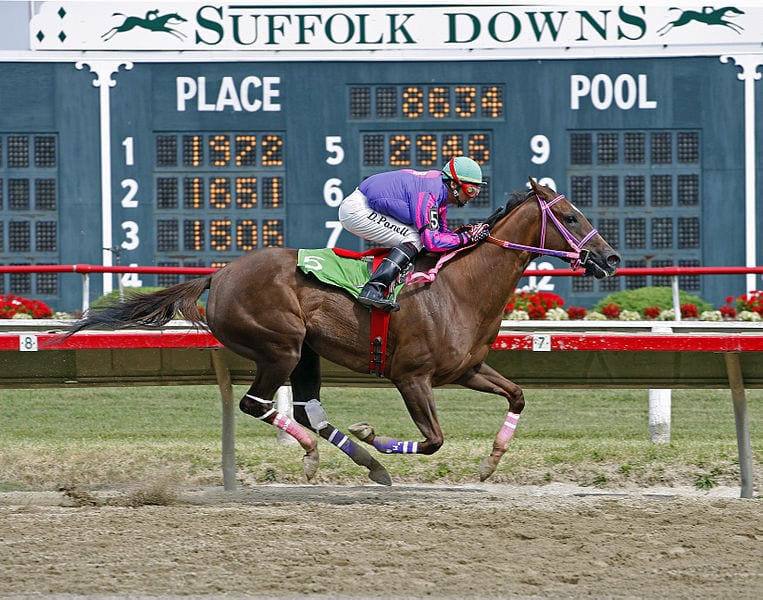 $12m sitting unused in horse fund