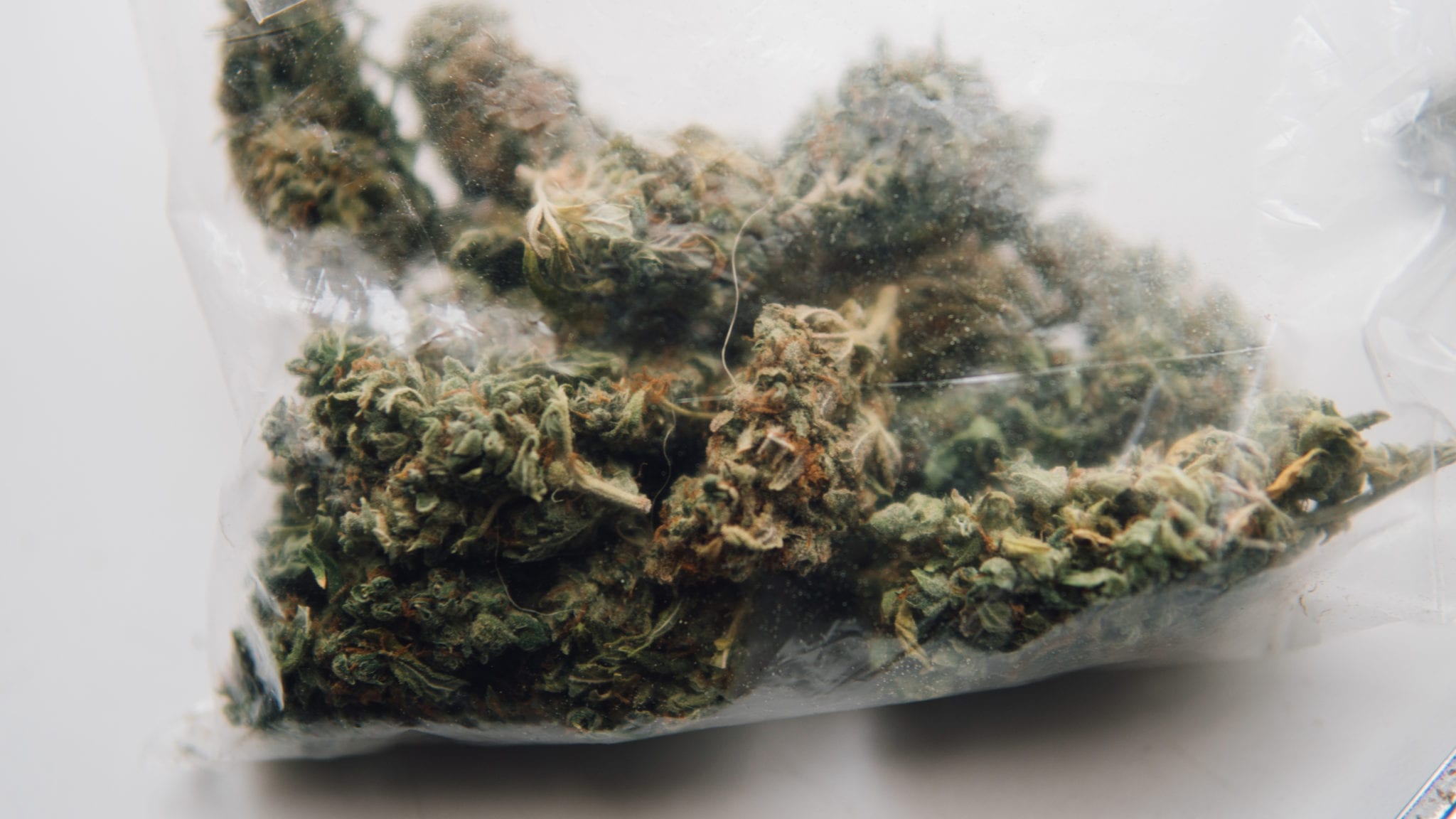 Pot labs get green light