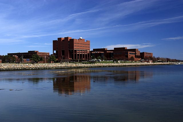UMass Boston’s Dr. Evil