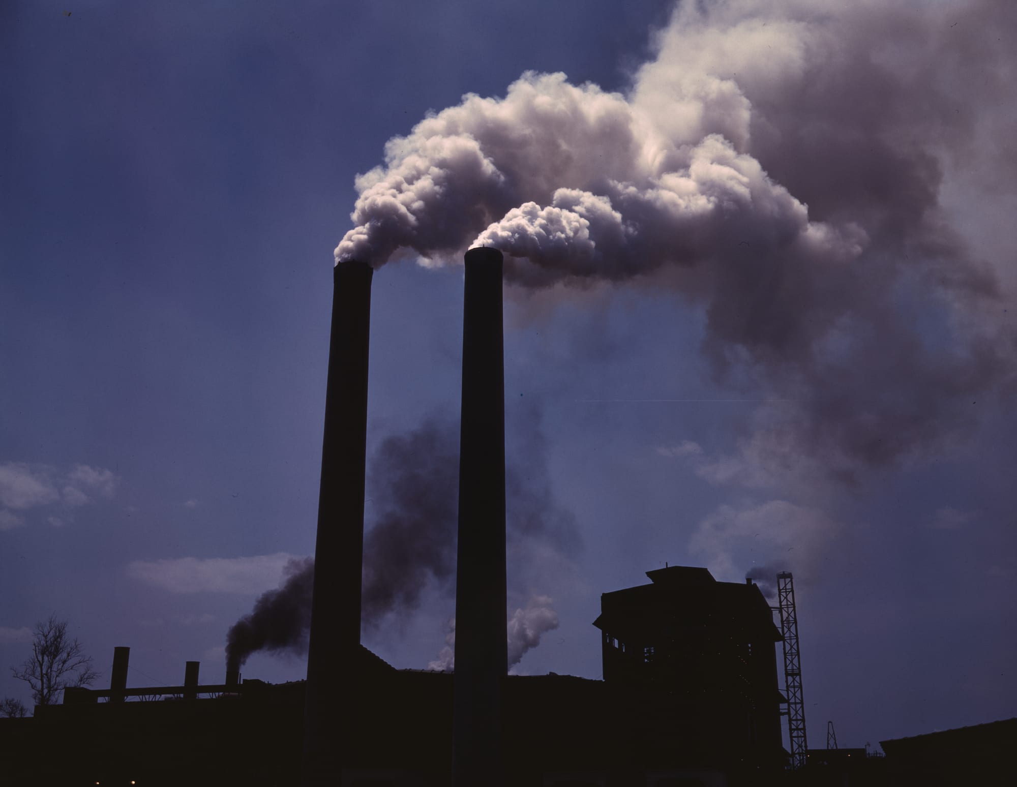 We need to put a price on carbon