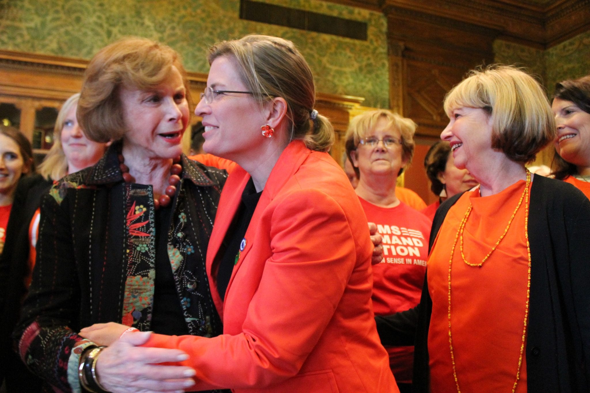 Senate passes ‘extreme risk’ gun bill