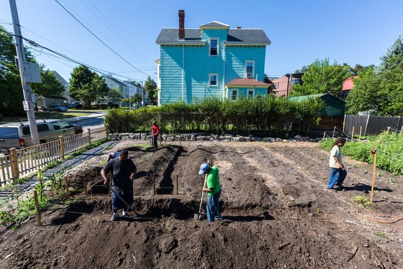 Get your hands dirty, plant a garden
