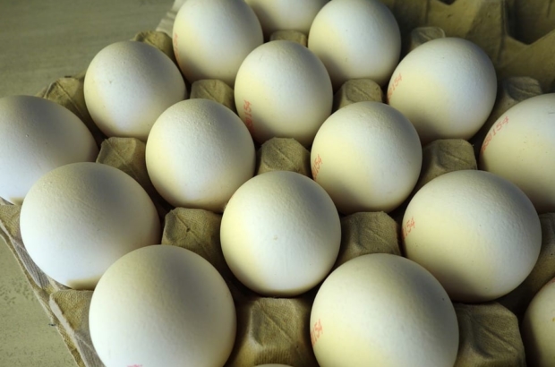 Mass. egg market about to get scrambled