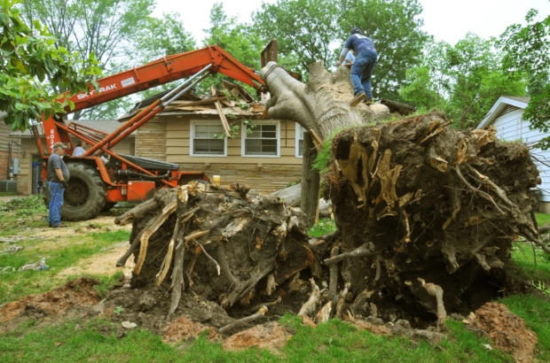 Biomass regulatory changes no big deal