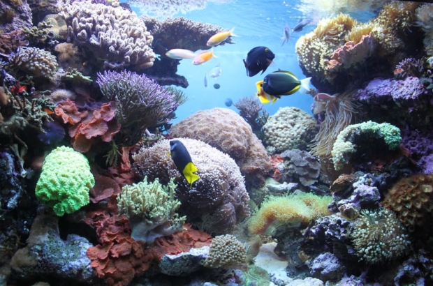 Changing the climate change conversation