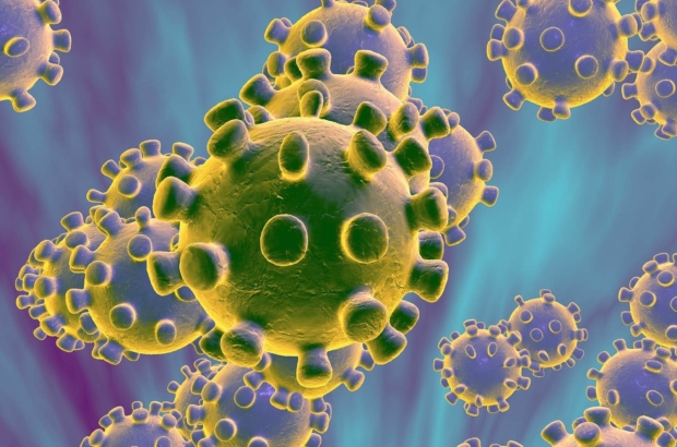 Catch-22 on coronavirus tests