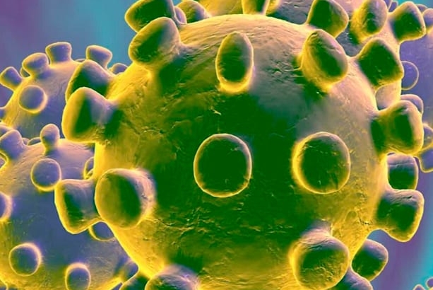 Virus notes: Mass. among top states on testing