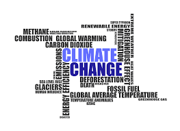 Combating climate change could yield societal change