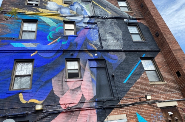 Murals: An emerging form of community development