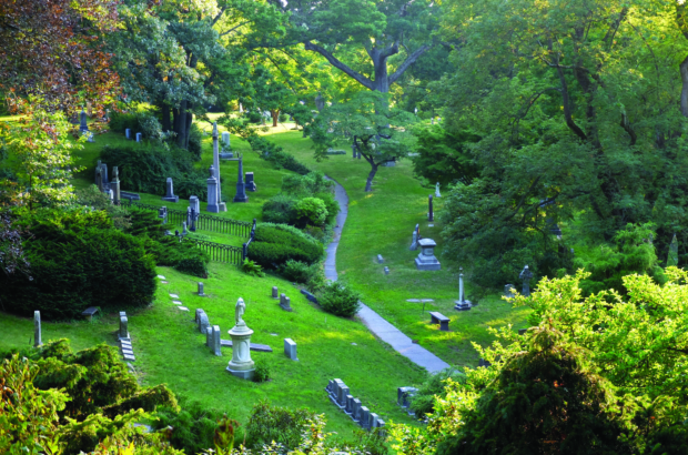 Cemeteries exploring climate-friendly burials