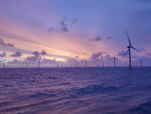 Healey playing catch-up with latest offshore wind procurement